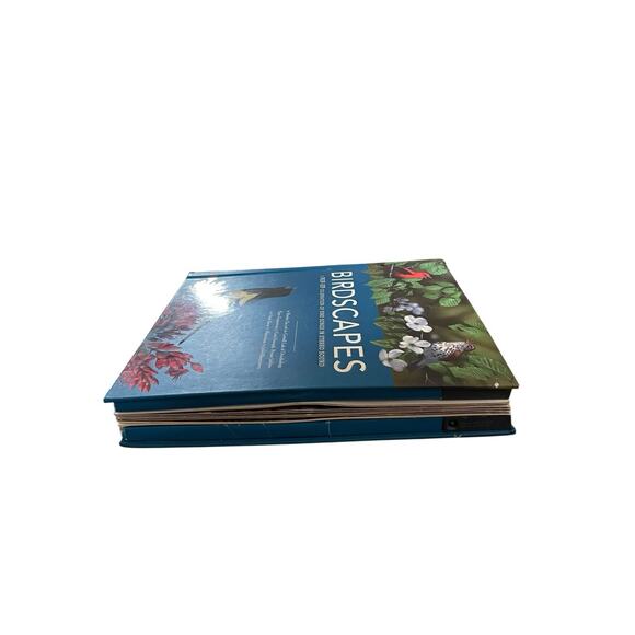 Birdscapes Pop Up Book Celebration of Bird Songs in Stereo M. Chu & Cornell Labs - Picture 4 of 14